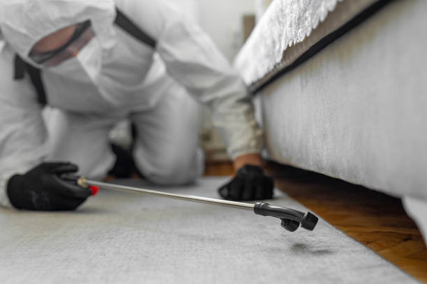Professional Bed Bug Control technician working in Island Lake, IL