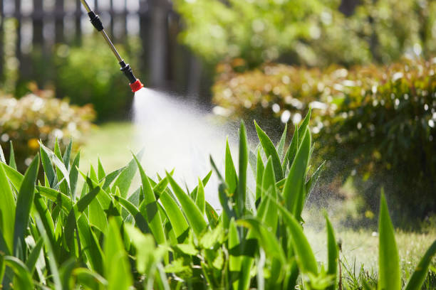 24/7 Emergency Bed Bug Control experts in Island Lake, IL