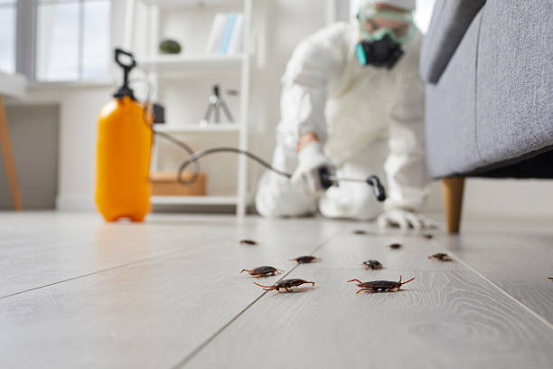 Trusted Emergency Pest Control service in Island Lake, IL - Nex Pest Control