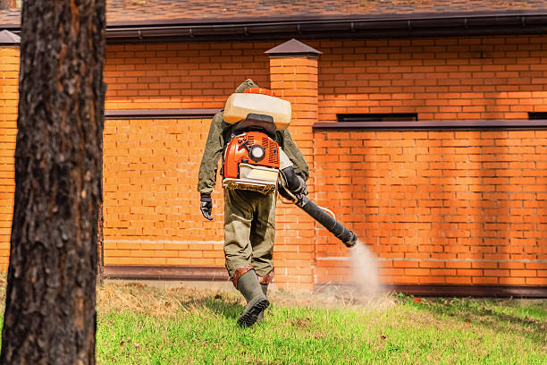 Trusted Rodent Control service in Island Lake, IL - Nex Pest Control
